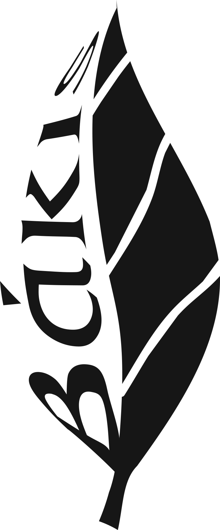 Your Logo